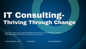 IT Consulting